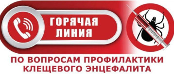 О горячей линии по вопросам профилактики клещевого энцефалита О горячей линии по вопросам профилактики клещевого энцефалита.