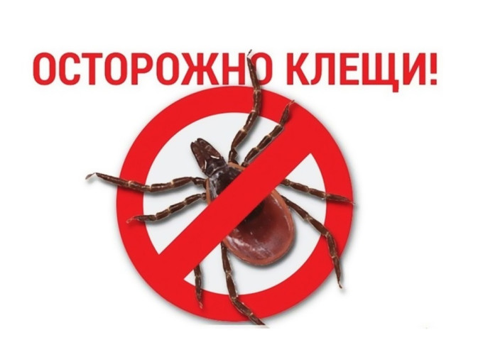 Осторожно,клещи! Осторожно,клещи!.